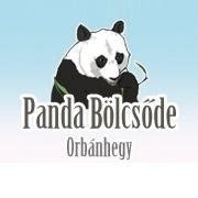 Panda bölcsőde kölykökkel