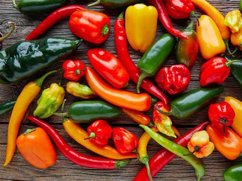 Chili paprikák különböző csípősségi fokozatokban