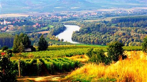 Tokaji borvidék