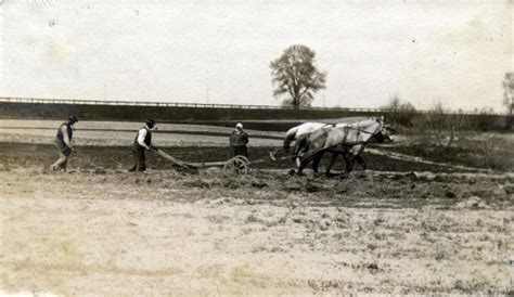 Parasztok munkában, 1929