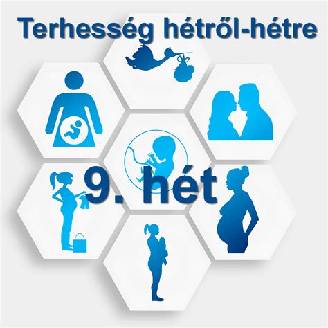 Terhesség hetedik hónapja, kismama és magzat