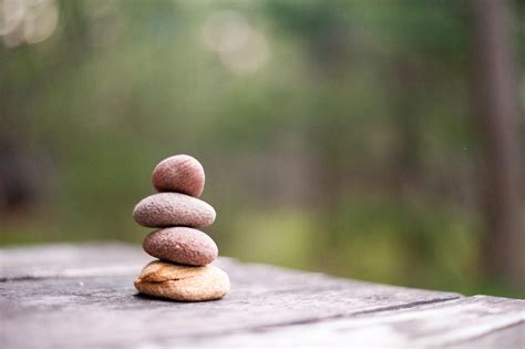 Zen meditáció a természetben