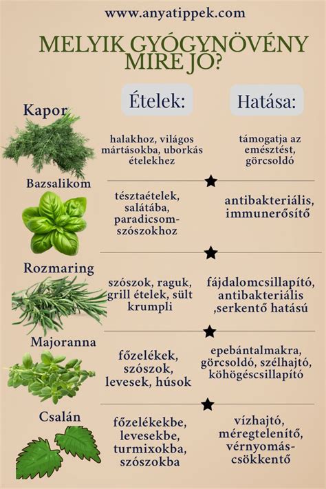 Gyógynövények a hormonális egyensúlyért