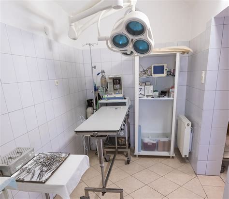 Állatorvosi műtő és az altatógép