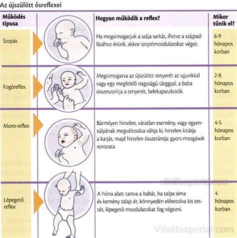 Újszülött reflexek és érzékszervek