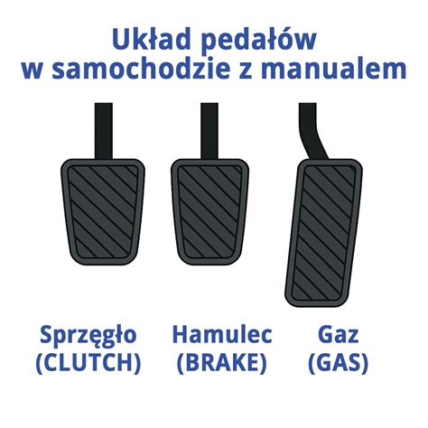 Autóshordozó bekötési módjának illusztrációja az autóban