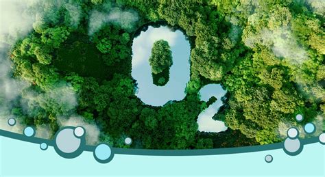 Az oxigén szerepe a szervezetben