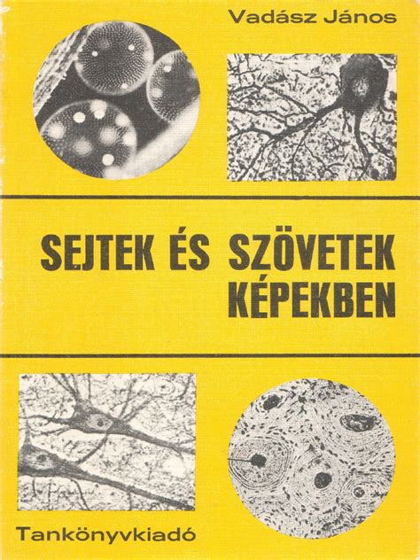 Immunrendszeri sejtek és citokinek ábrázolása