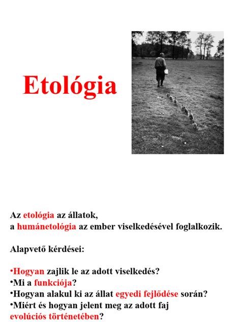 Családfa, ami az öröklött hajlamot illusztrálja