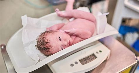 Babák születési súlya és hossza különböző terhességi hetekben