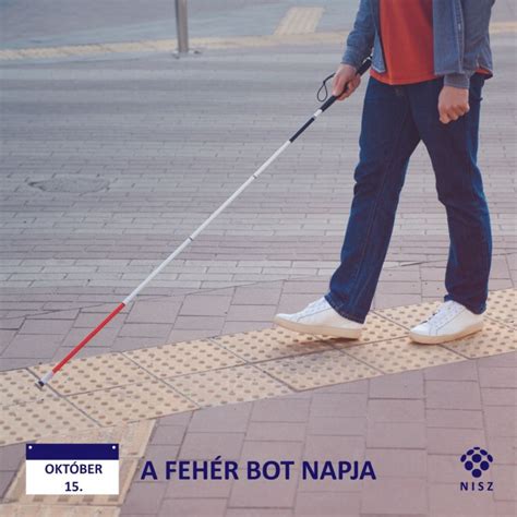 A fehér bot története