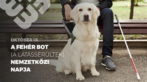 Különböző fehér bot típusok