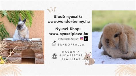 Napfényen szárított babaruha