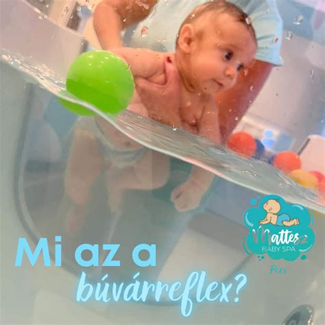 Búvárreflex