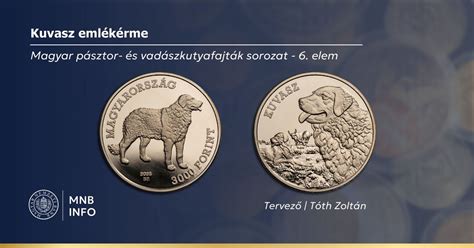 Pénzérme és egy diplomát szimbolizáló kalap