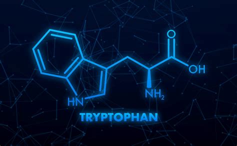 Triptofán és melatonin kapcsolat