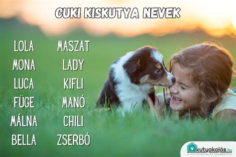 Kutya nevek listája
