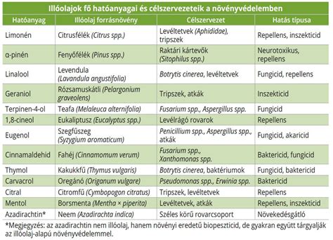 Terhesvitaminok hatóanyagai