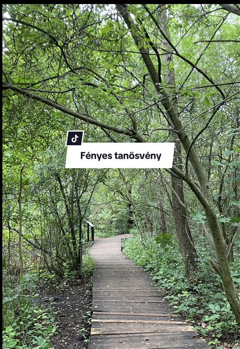 Nagy-égeres a Fényes tanösvényen