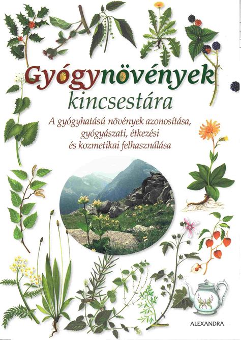 Gyógynövények összetevői a Szoptatós Teában
