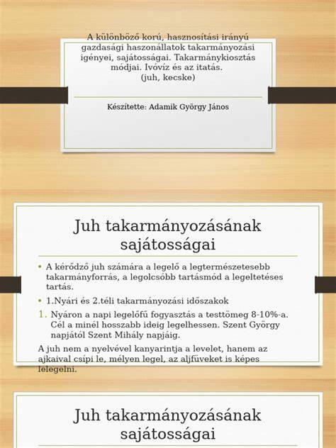 Különböző korú macskafiókák