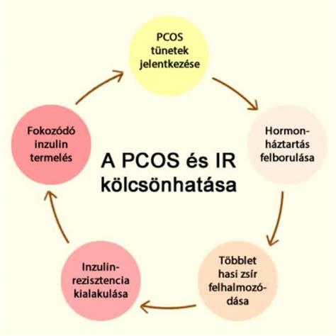 Inzulinrezisztencia és PCOS kapcsolata