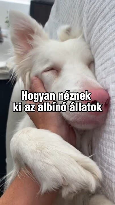 Gyerekek néznek felnőtt tartalmú animét