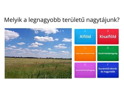 A környezet hatása a kutyák tanulására