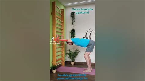 Gerinctréning gyakorlatok