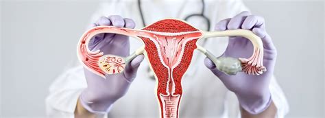 A méhnyak változásai a szülés alatt