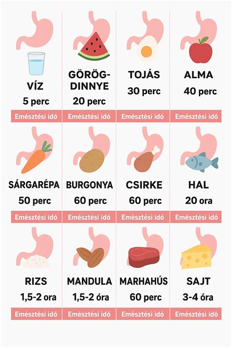Újszülött etetése és emésztési folyamatai