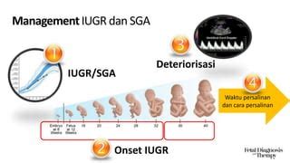 IUGR és SGA magzatok összehasonlítása