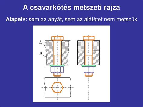 A gömbfej metszeti rajza