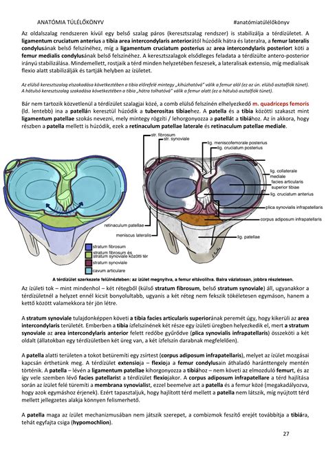 Az elülső asztalfiók teszt illusztrációja