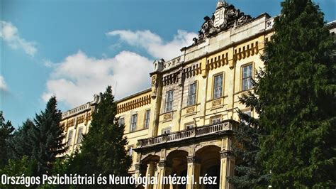 pszichiátriai intézet