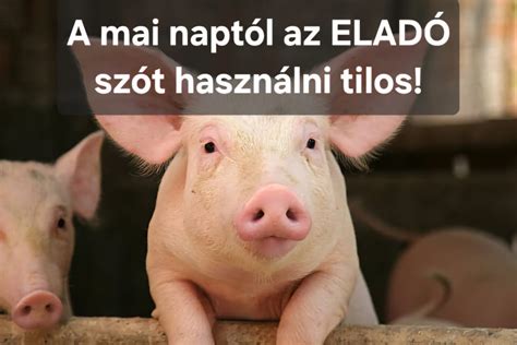 Egészségesen hízó csecsemő