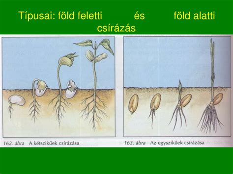 Tágulási szakasz ábrázolása