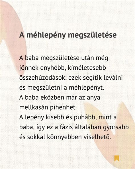 A méhlepény leválása és megszületése