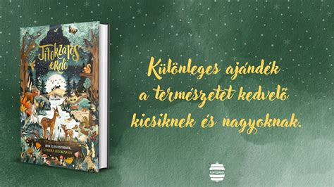 Titokzatos erdő ösvény