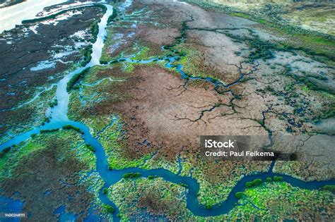 Illusztráció különböző orrspray típusokról
