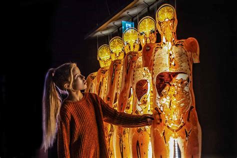 Body Worlds kiállítás - emberi csontváz
