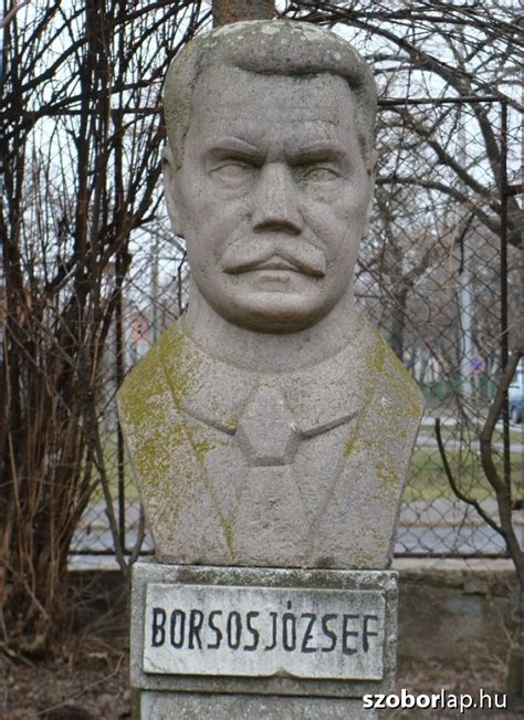 Borsos József: Ételadomány