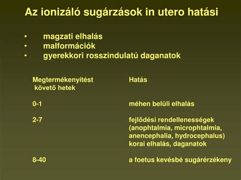 A magzati elhalás okainak feltárása