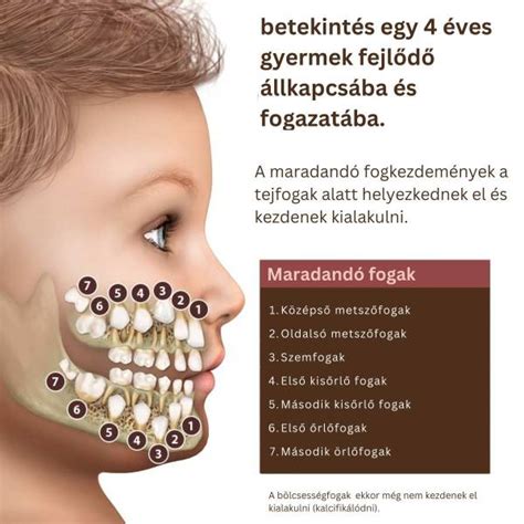 A tejfogak tisztításának fontossága és helyes technikája