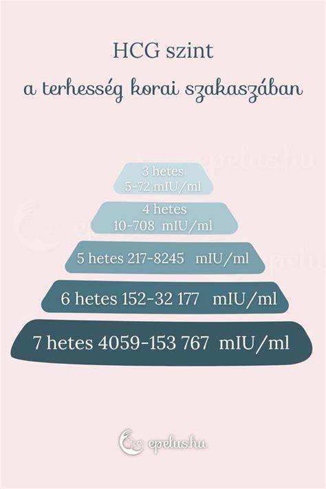 HCG hormonszint változása a terhesség korai szakaszában