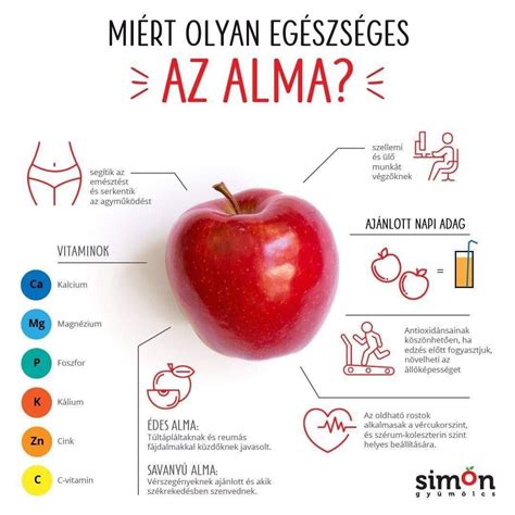 Egészséges életmód tippek nőknek infografika