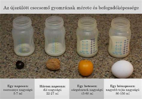 A csecsemő gyomrának mérete életkor szerint