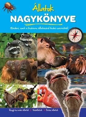 Bébiséma illusztrációja különböző állatfajok kicsinyeinél