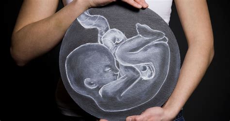 magzati fejlődés ultrahangon