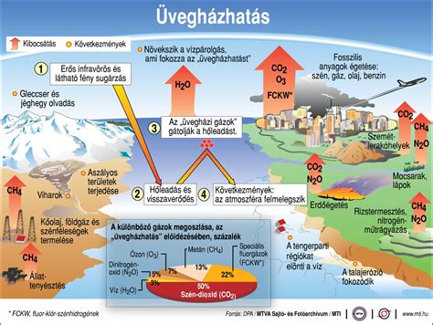 Infografika a téves riasztások okairól és következményeiről